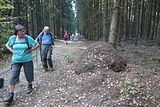 18-10-13 Wandertag Selketal (52)